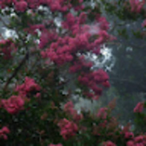 Meet your Posher, Ashley condon